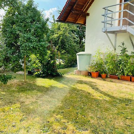 Ferienappartement am Almesbach Weiden Weiden in der Oberpfalz Exterior foto