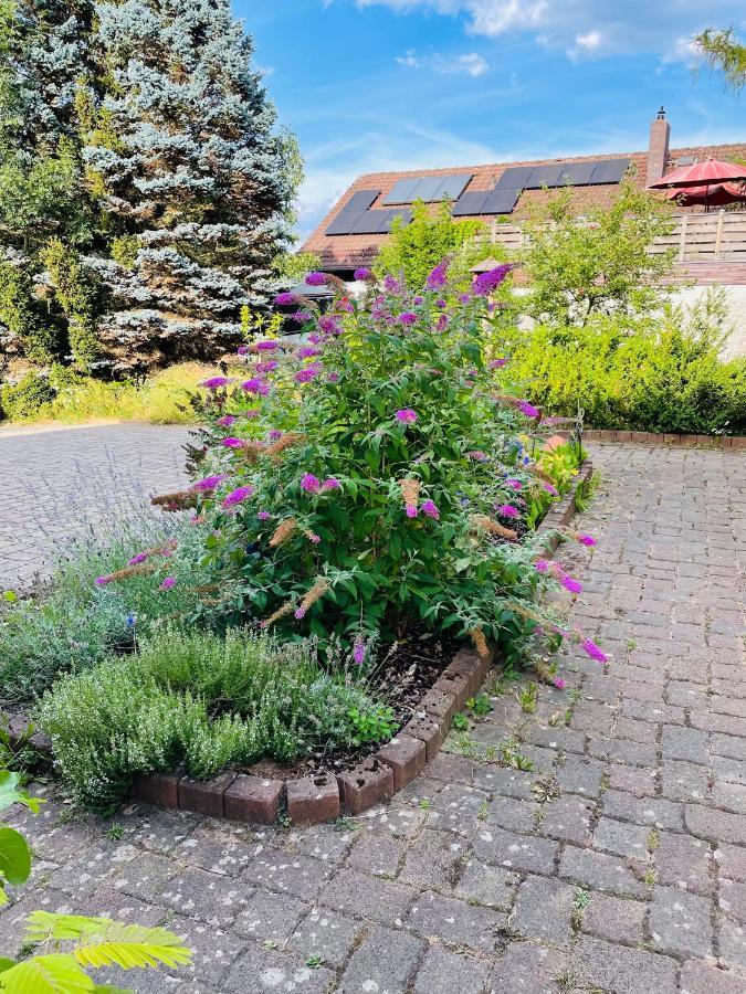 Ferienappartement am Almesbach Weiden Weiden in der Oberpfalz Exterior foto